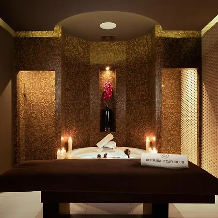 Modrzewie Park Hotel Szczawnica